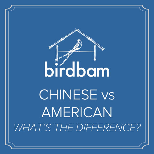 What is the difference between Chinese Mahjong and American Mah Jongg? How did Mahjong become American?